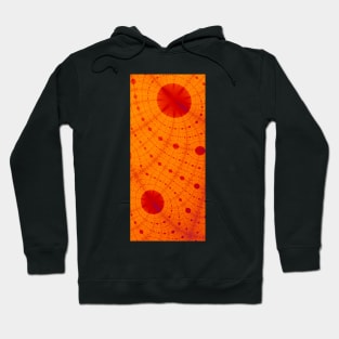 Amber Waves 18 Hoodie